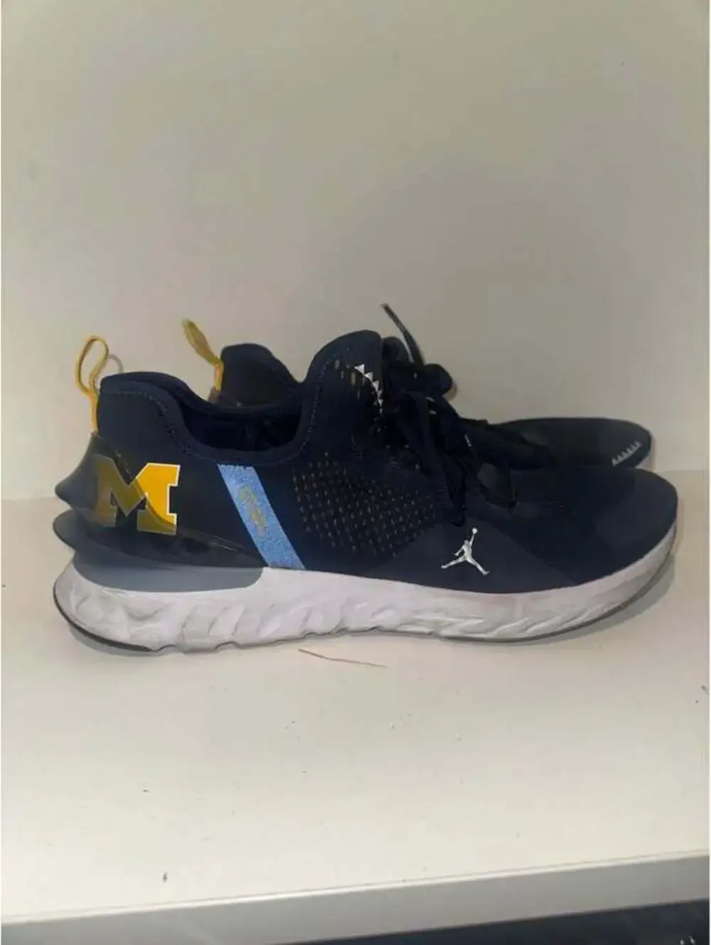 Team Issued Michigan Training Sneakers Size 12